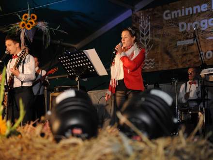 Dożynki Gminne w Drogomyślu 2017